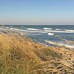 Seeschwalbe * Süssau