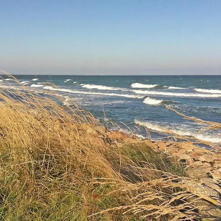 Seeschwalbe * Süssau