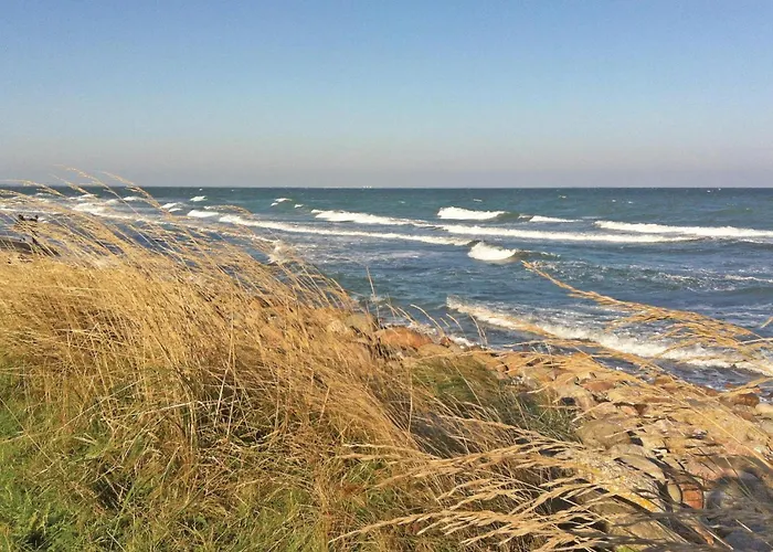 Seeschwalbe * Süssau